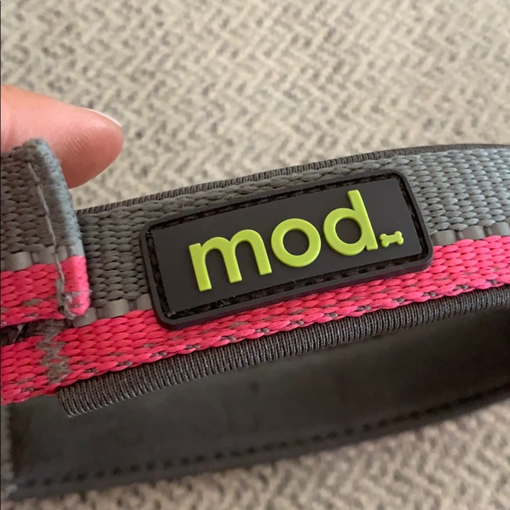 Mod dog collar - Picture 3 of 4
